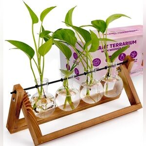 Plant Terrarium with Wooden Stand